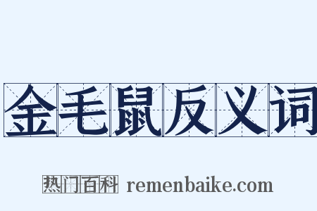金毛鼠反义词是什么意思的图片